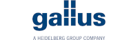 gallus