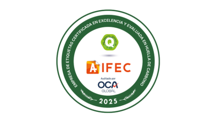 AIFEC logo